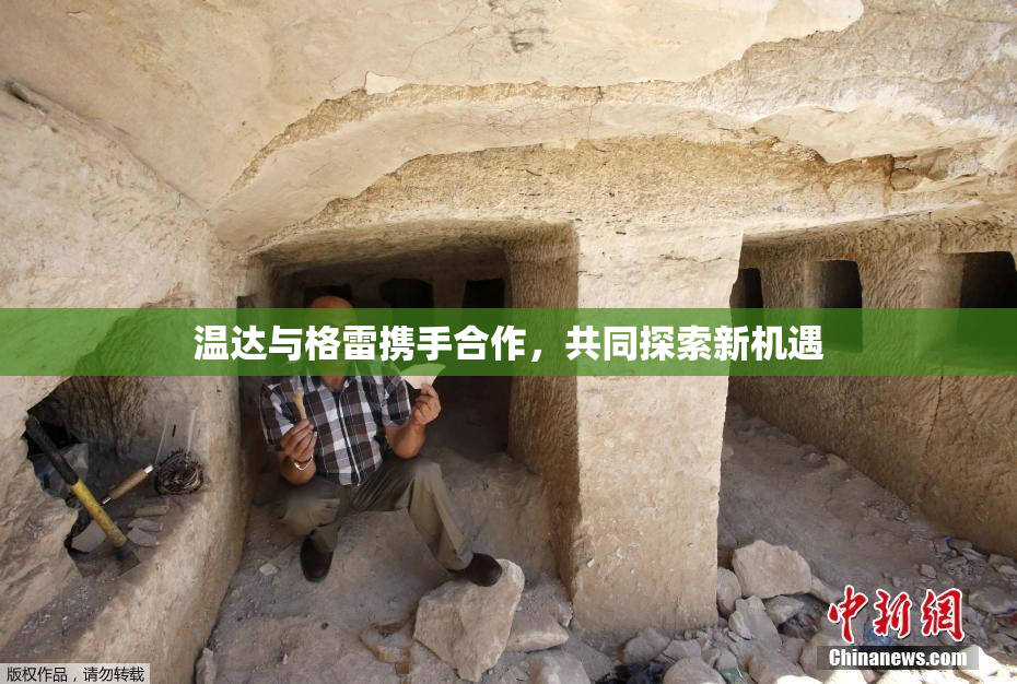 温达与格雷携手合作，共同探索新机遇
