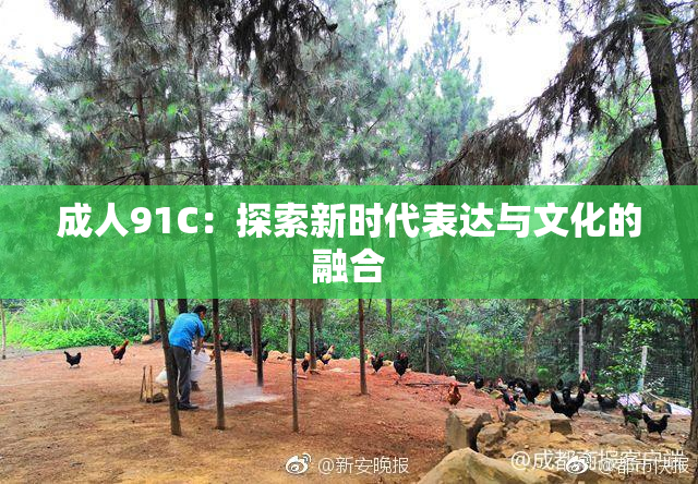 成人91C：探索新时代表达与文化的融合