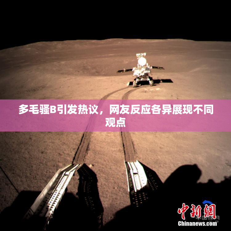 多毛骚B引发热议，网友反应各异展现不同观点