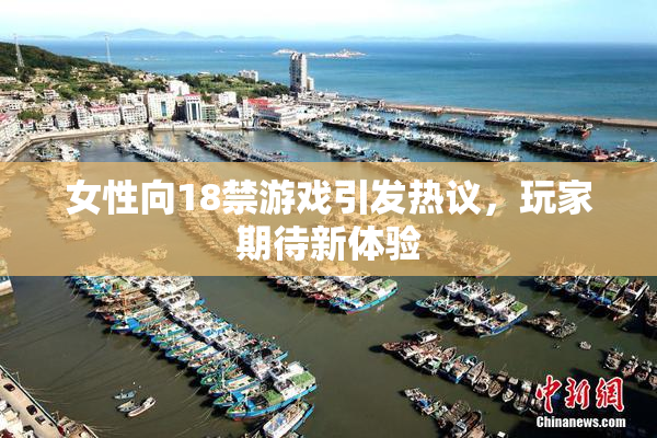 女性向18禁游戏引发热议，玩家期待新体验