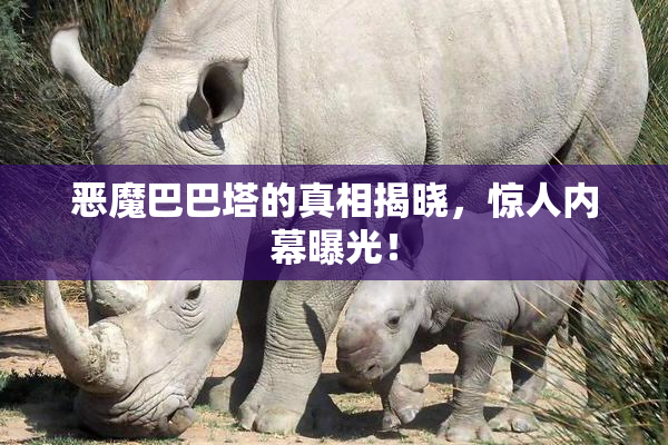 恶魔巴巴塔的真相揭晓，惊人内幕曝光！