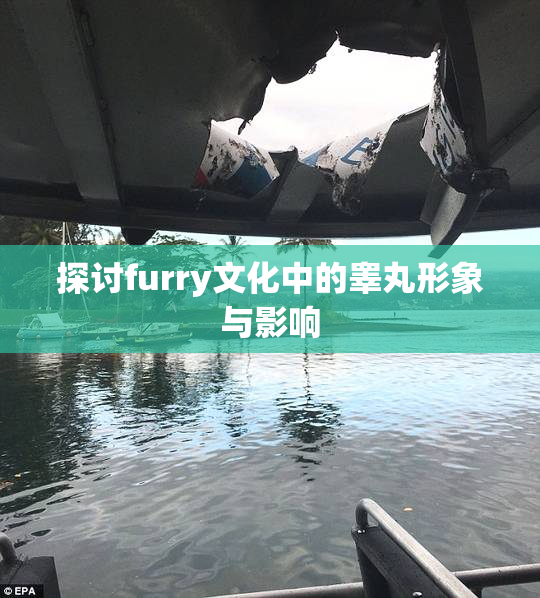 探讨furry文化中的睾丸形象与影响