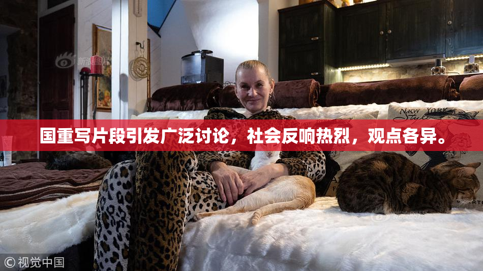 国重写片段引发广泛讨论，社会反响热烈，观点各异。