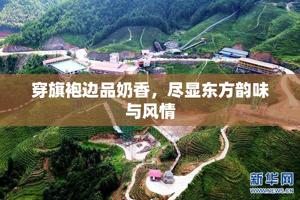 穿旗袍边品奶香，尽显东方韵味与风情