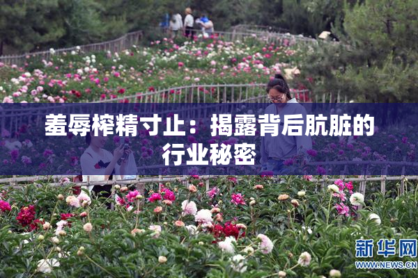羞辱榨精寸止：揭露背后肮脏的行业秘密