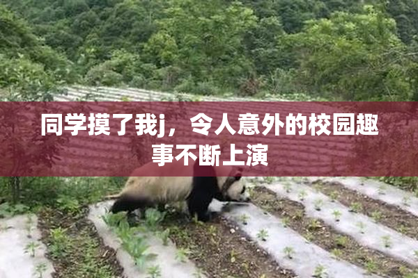 同学摸了我j，令人意外的校园趣事不断上演