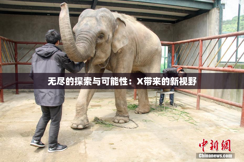 无尽的探索与可能性：X带来的新视野