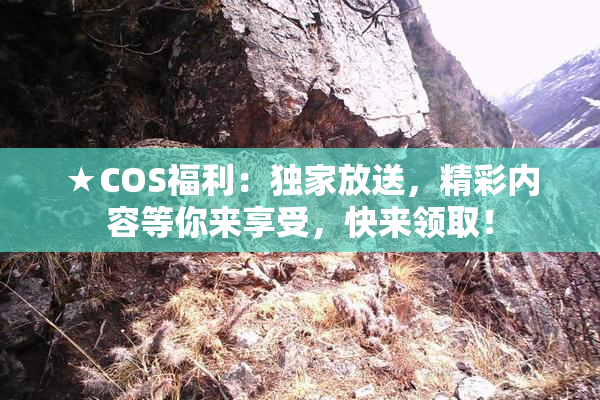 ★COS福利：独家放送，精彩内容等你来享受，快来领取！