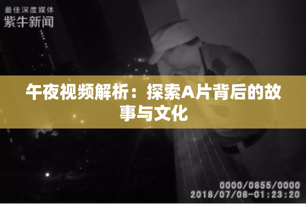 午夜视频解析：探索A片背后的故事与文化
