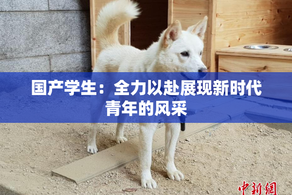 国产学生：全力以赴展现新时代青年的风采