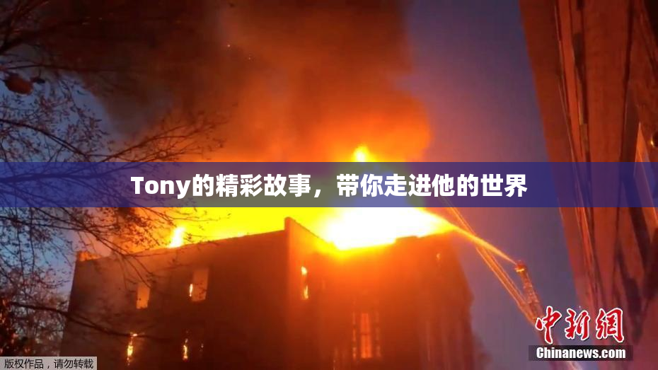 Tony的精彩故事，带你走进他的世界