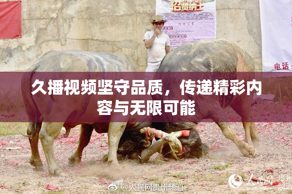 久播视频坚守品质，传递精彩内容与无限可能
