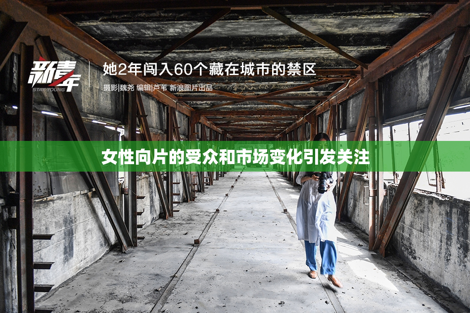 女性向片的受众和市场变化引发关注