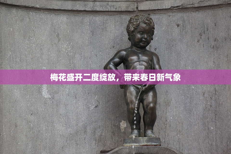 梅花盛开二度绽放，带来春日新气象