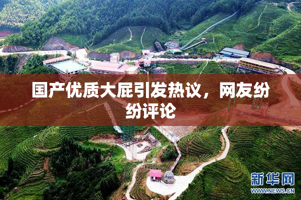 国产优质大屁引发热议，网友纷纷评论