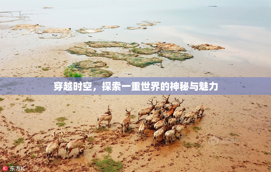 穿越时空，探索一重世界的神秘与魅力