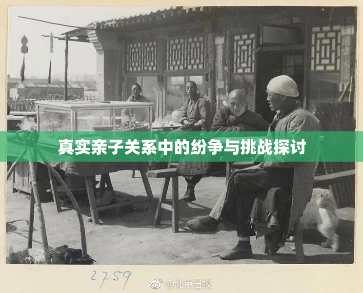 真实亲子关系中的纷争与挑战探讨