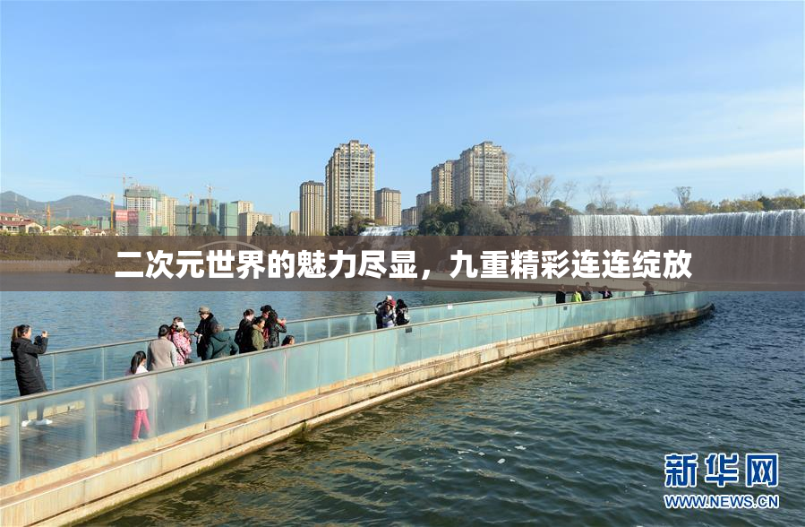 二次元世界的魅力尽显，九重精彩连连绽放