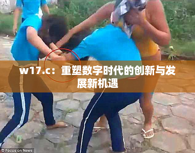 w17.c：重塑数字时代的创新与发展新机遇