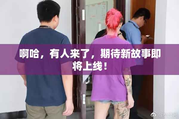 啊哈，有人来了，期待新故事即将上线！