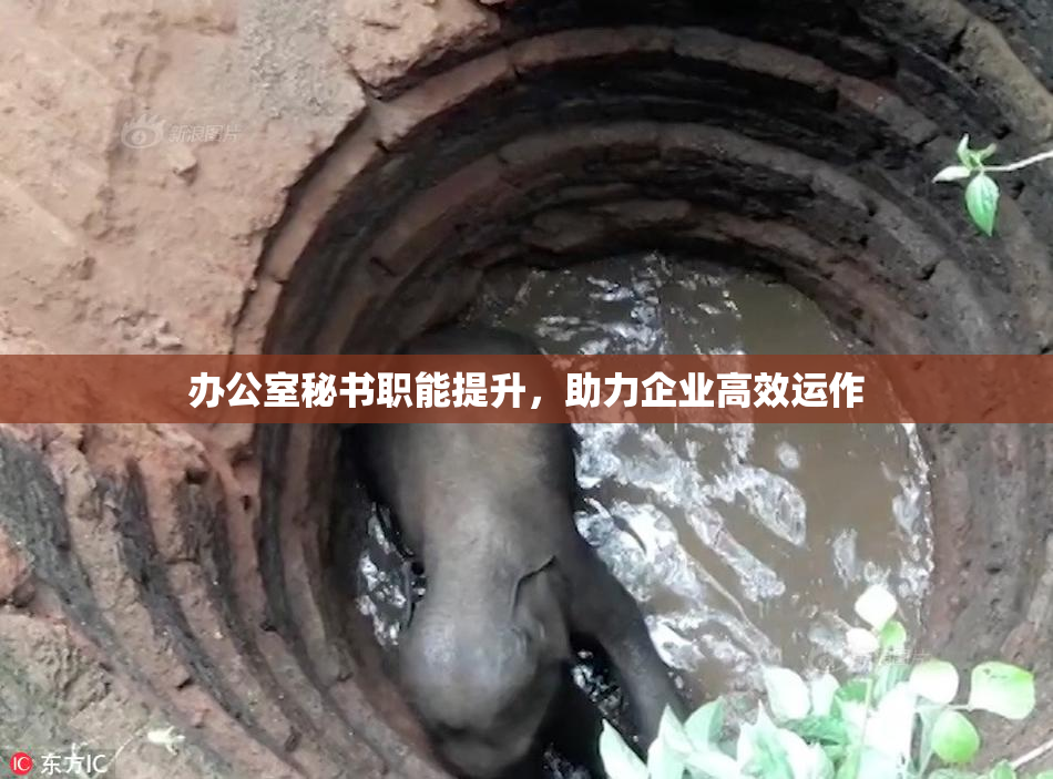 办公室秘书职能提升，助力企业高效运作
