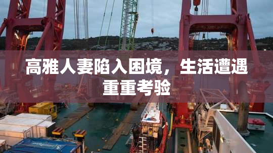 高雅人妻陷入困境，生活遭遇重重考验