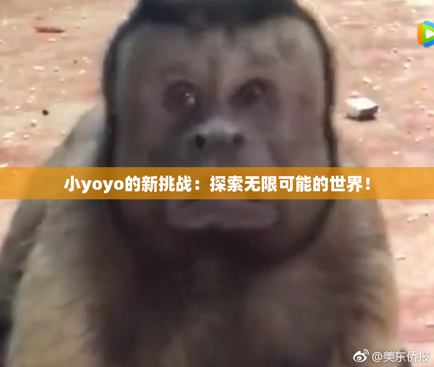 小yoyo的新挑战：探索无限可能的世界！