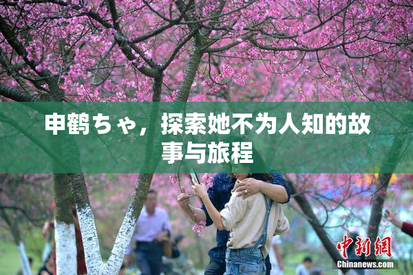 申鹤ちゃ，探索她不为人知的故事与旅程