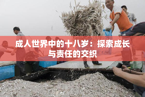 成人世界中的十八岁：探索成长与责任的交织