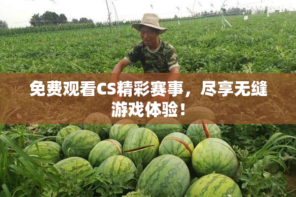 免费观看CS精彩赛事，尽享无缝游戏体验！
