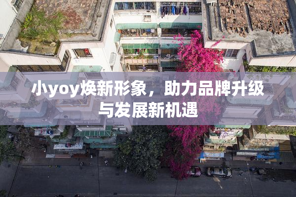 小yoy焕新形象，助力品牌升级与发展新机遇