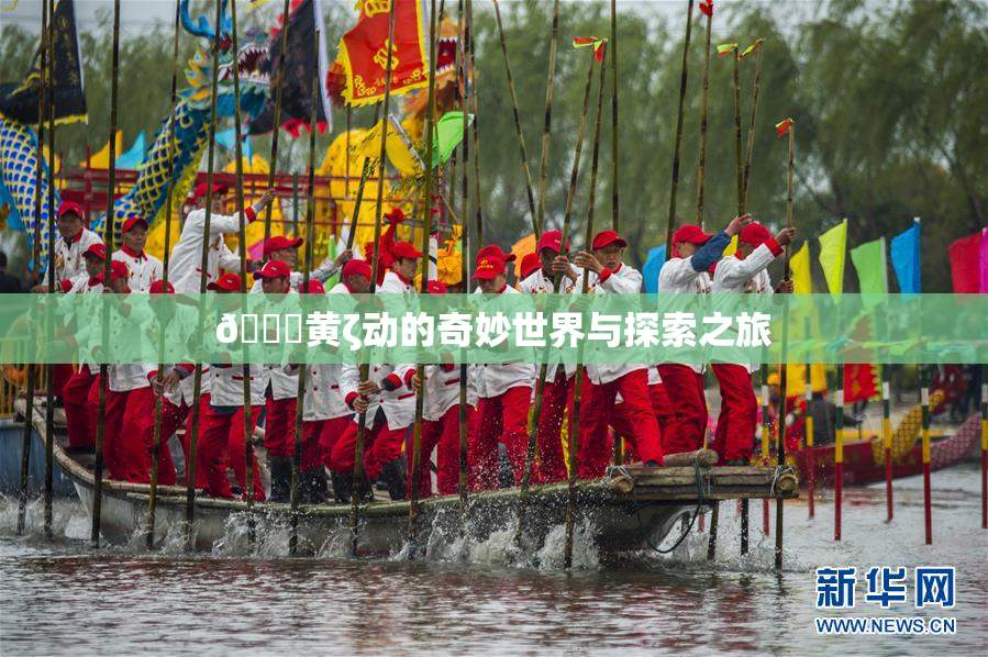 🔞黄ζ动的奇妙世界与探索之旅