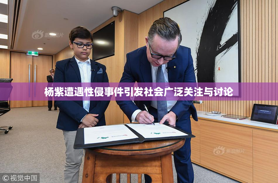 杨紫遭遇性侵事件引发社会广泛关注与讨论
