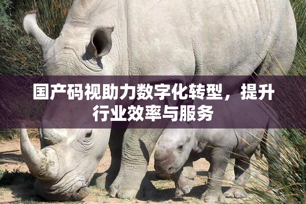 国产码视助力数字化转型，提升行业效率与服务