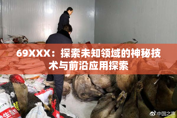 69XXX：探索未知领域的神秘技术与前沿应用探索