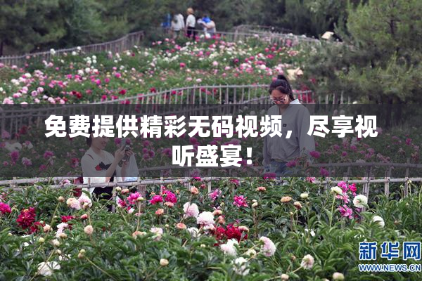 免费提供精彩无码视频，尽享视听盛宴！