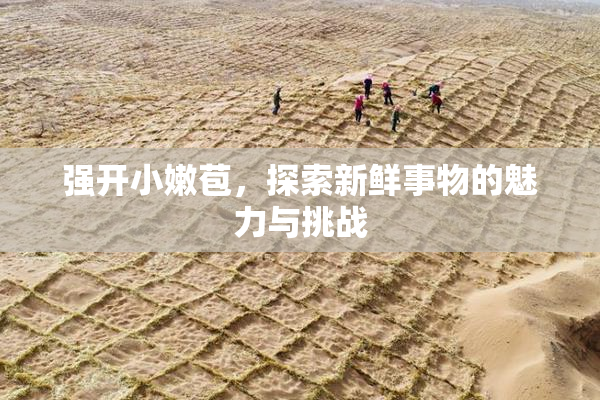 强开小嫩苞，探索新鲜事物的魅力与挑战