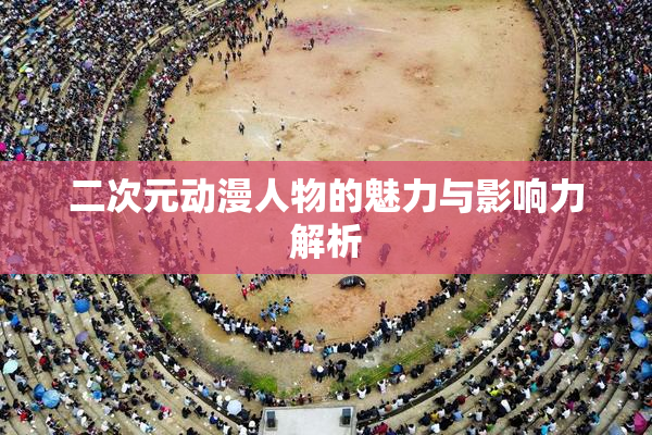 二次元动漫人物的魅力与影响力解析