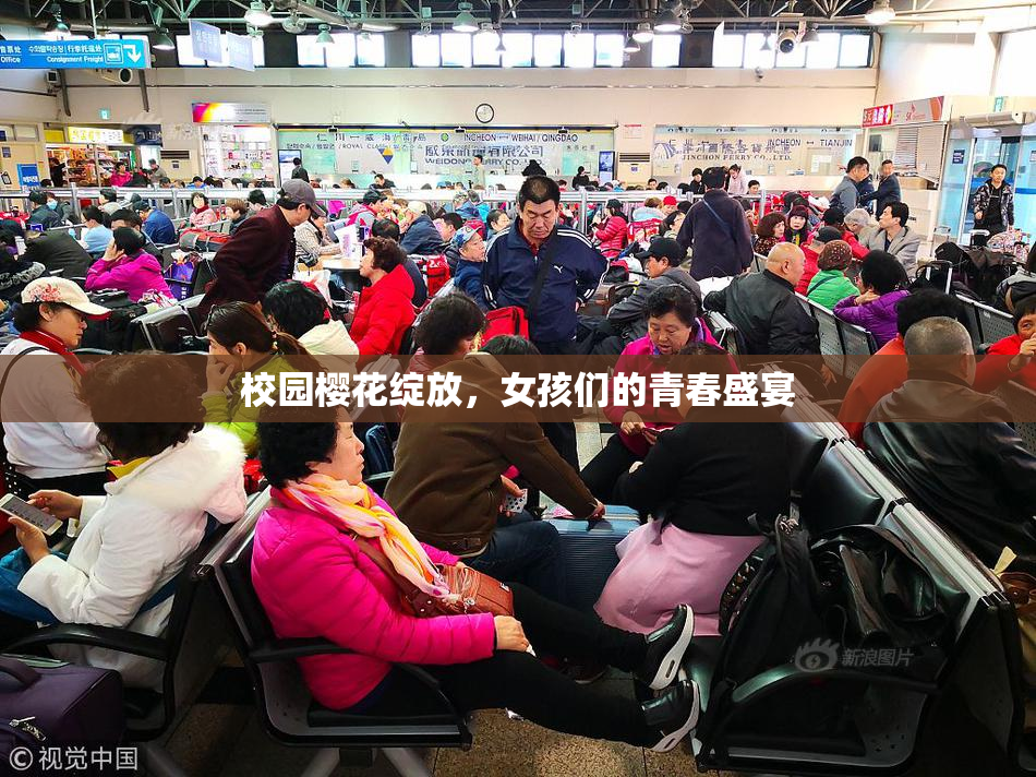 校园樱花绽放，女孩们的青春盛宴