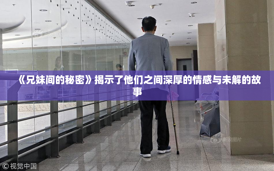 《兄妹间的秘密》揭示了他们之间深厚的情感与未解的故事
