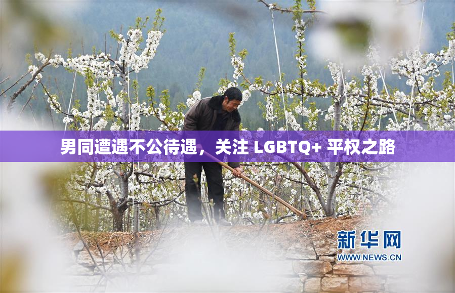男同遭遇不公待遇，关注 LGBTQ+ 平权之路