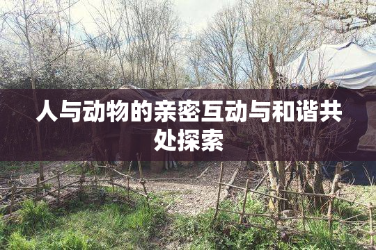 人与动物的亲密互动与和谐共处探索