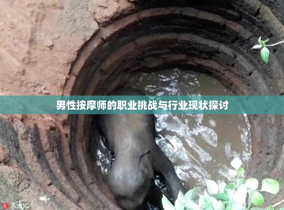 男性按摩师的职业挑战与行业现状探讨