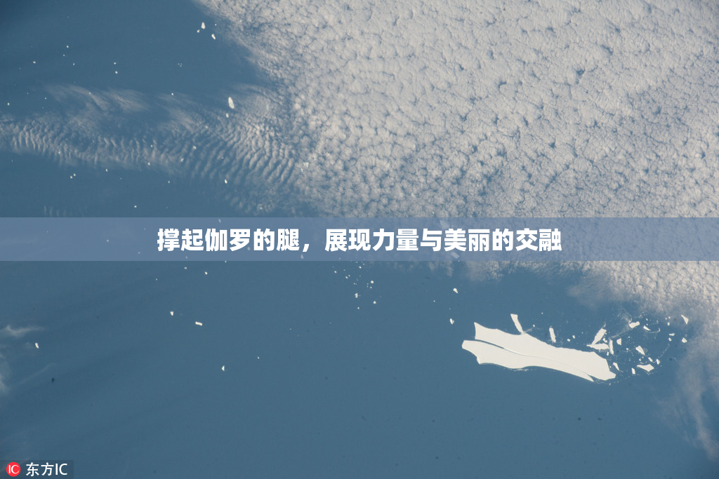 撑起伽罗的腿，展现力量与美丽的交融