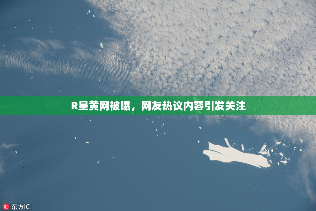 R星黄网被曝，网友热议内容引发关注