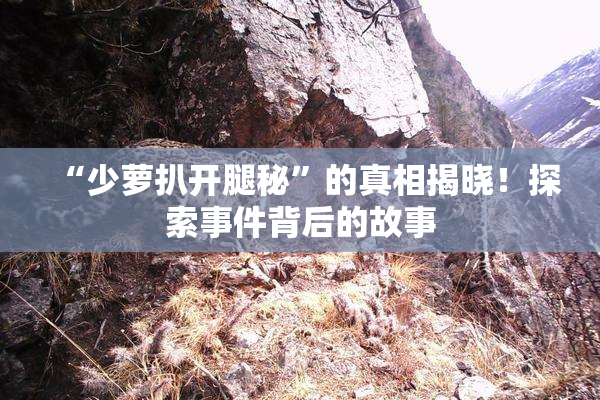“少萝扒开腿秘”的真相揭晓！探索事件背后的故事