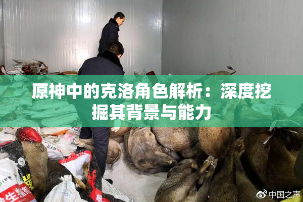 原神中的克洛角色解析：深度挖掘其背景与能力