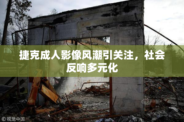 捷克成人影像风潮引关注，社会反响多元化