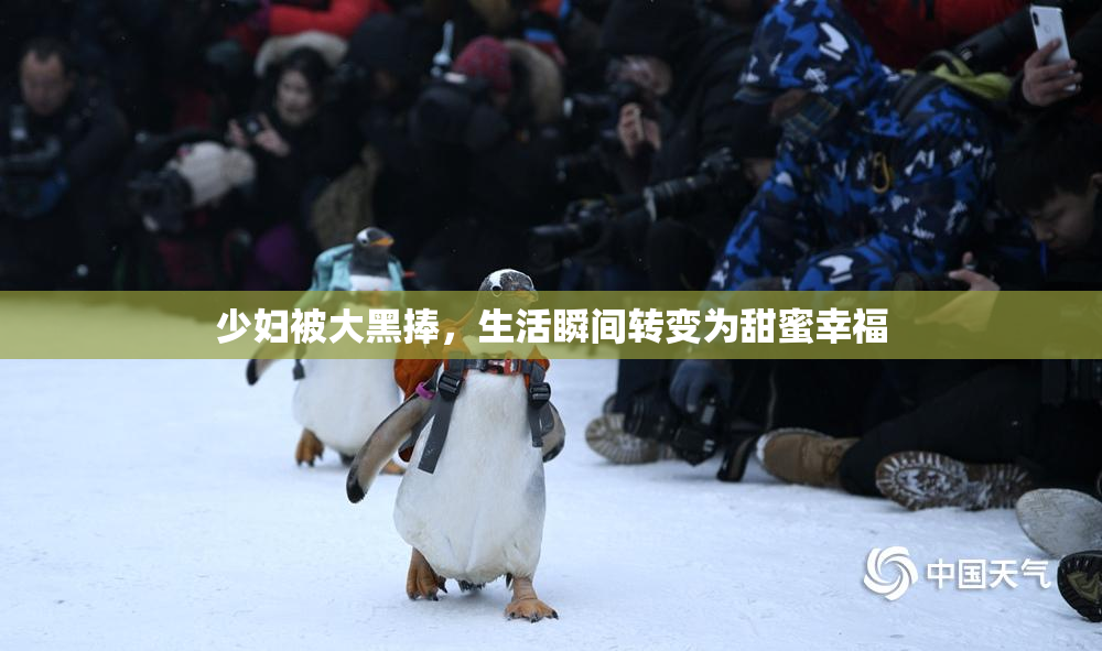 少妇被大黑捧，生活瞬间转变为甜蜜幸福
