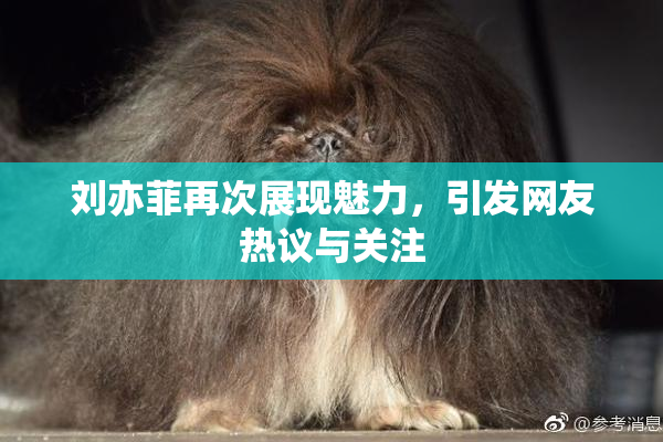 刘亦菲再次展现魅力，引发网友热议与关注